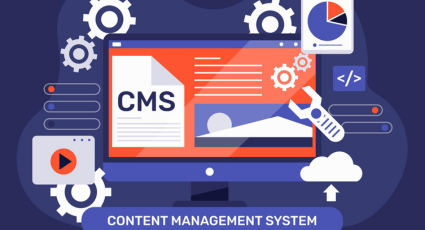 CMS Development