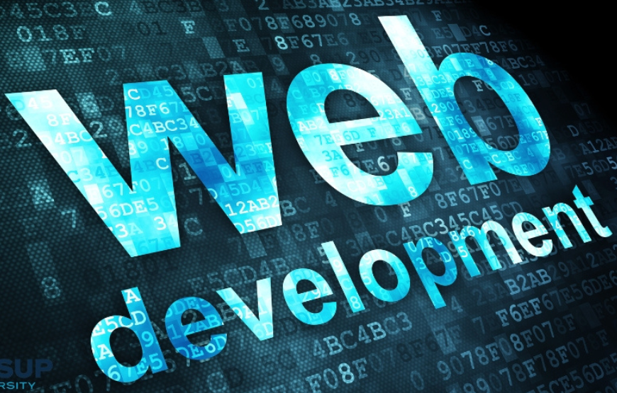 Web Development Service Details